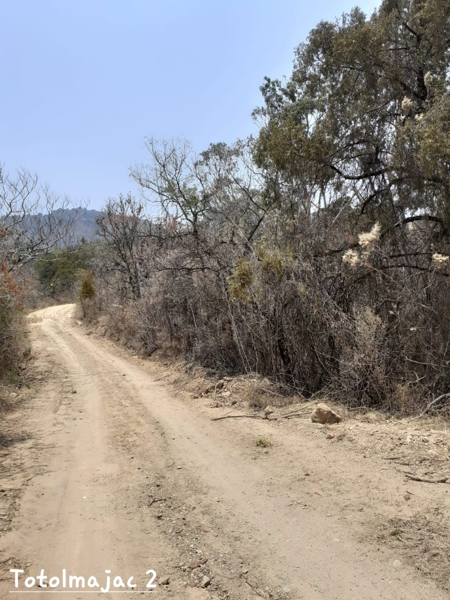 Terreno en venta en Totolmajac, Villa Guerrero — foto 2 de 7