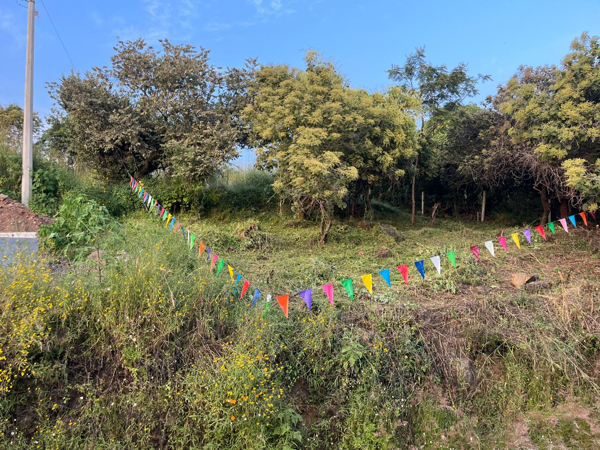 Terreno en venta en San Juan Texcalpan, Atlatlahucan — foto 3 de 4