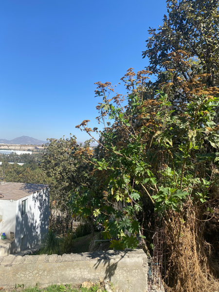Terreno en venta en Pinar de la Venta, Zapopan — foto 2 de 5