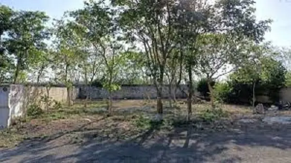 Terreno en venta en Villas de Conkal, Conkal — foto 3 de 7