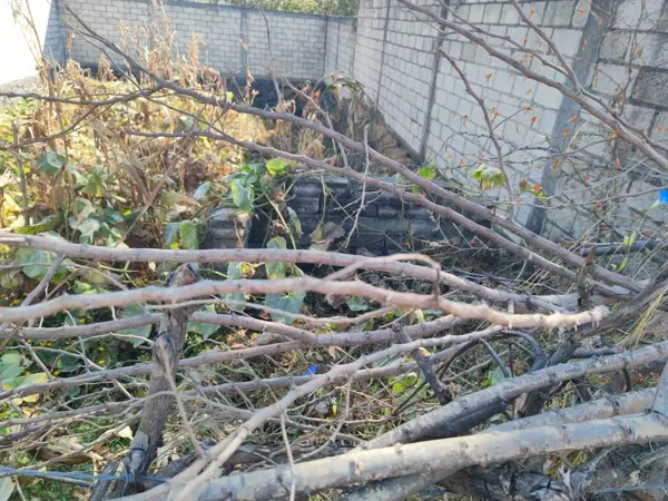 Terreno en venta en Santa Catarina, Tepoztlán — foto 3 de 5