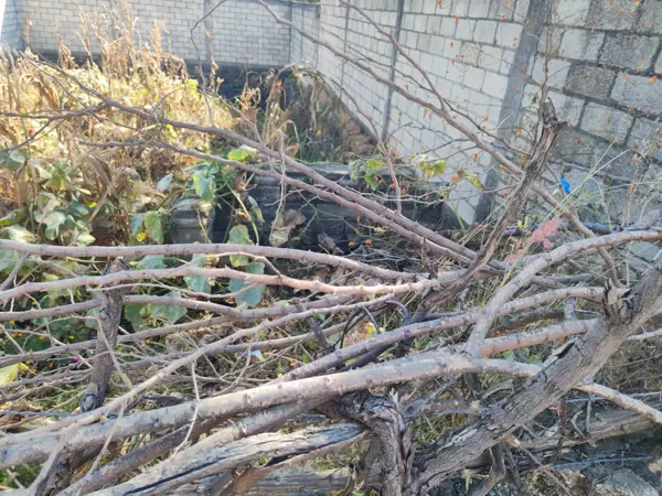 Terreno en venta en Santa Catarina, Tepoztlán — foto 2 de 5