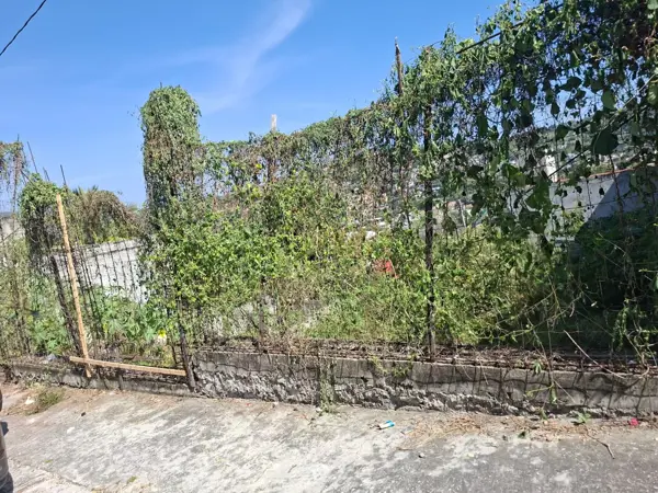 Terreno en venta en Jose Lopez Portillo, Jiutepec — foto 3 de 5