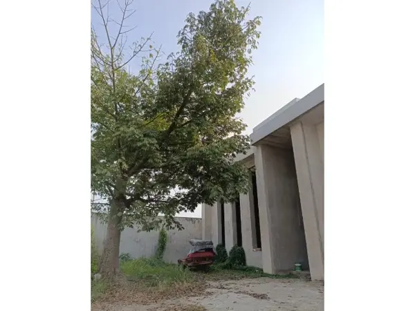 Edificio en renta en Plan de Ayala, Tihuatlán — foto 2 de 20
