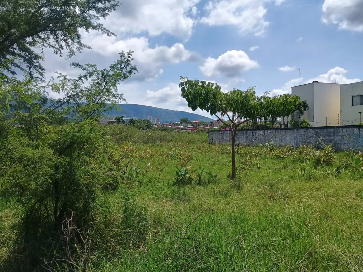 Terreno en venta en Tezoyuca, Emiliano Zapata — foto 1 de 4