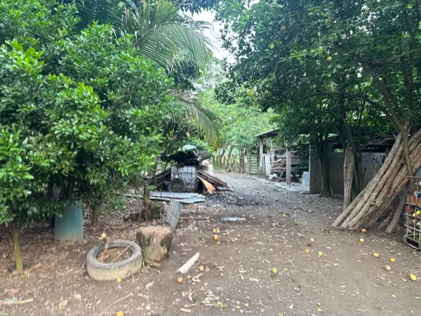 Terreno en venta en Hermenegildo Galeana 1ra. Sección, Jalpa de Méndez — foto 3 de 3