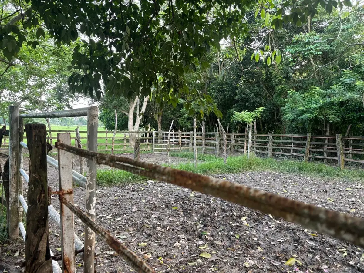 Terreno en venta en Hermenegildo Galeana 1ra. Sección, Jalpa de Méndez — foto 1 de 3