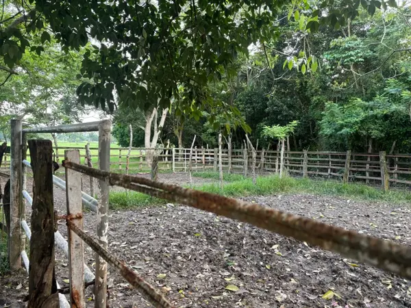Terreno residencial en venta en Hermenegildo Galeana, Jalpa de Méndez
