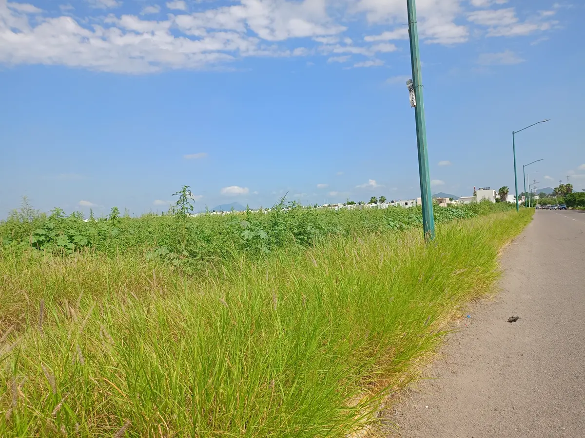 Terreno en renta en Culiacán Tres Ríos, Culiacán — foto 1 de 8