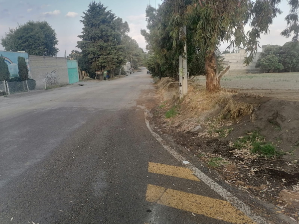 Terreno en venta en San Juan Tilapa Centro, Toluca — foto 3 de 6