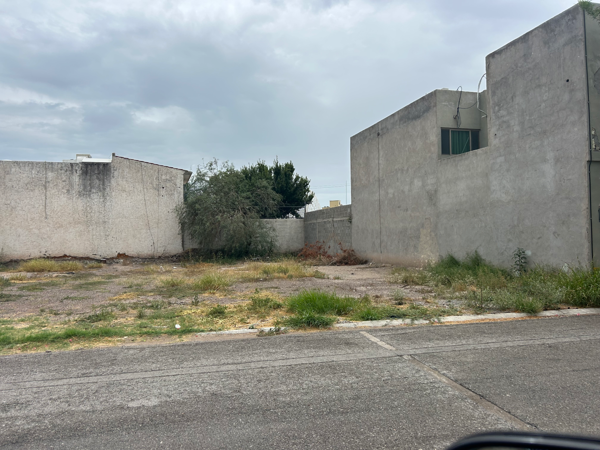 Terreno en venta en Residencial el Fresno, Torreón — foto 3 de 4