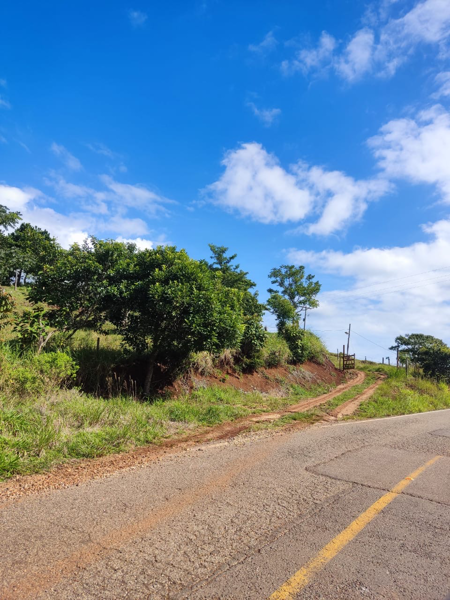 Terreno en venta en Ocotal Texizapan, Tatahuicapan de Juárez — foto 2 de 10