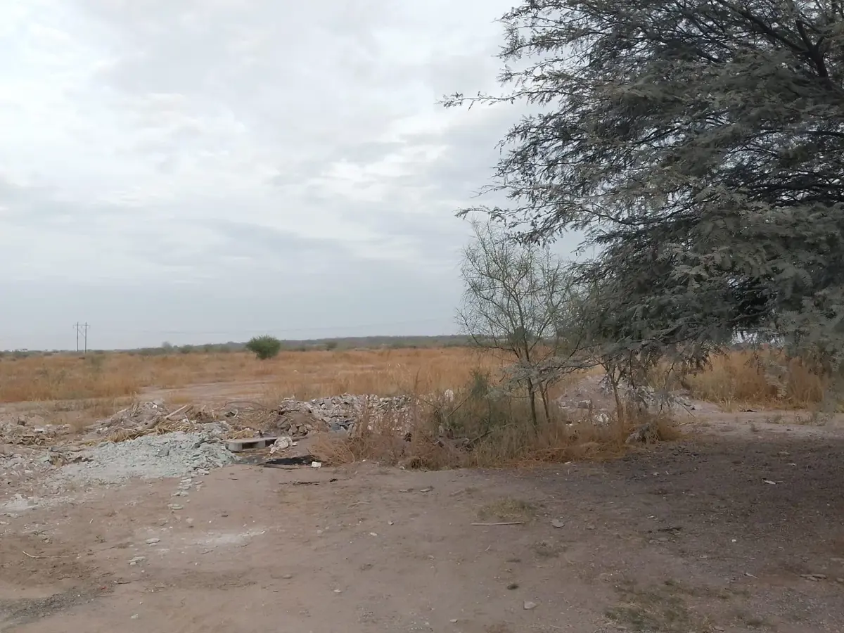 Vista 3 de TERRENO EN VENTA EN EJIDO SAN LUIS TORREÓN, COAHUILA