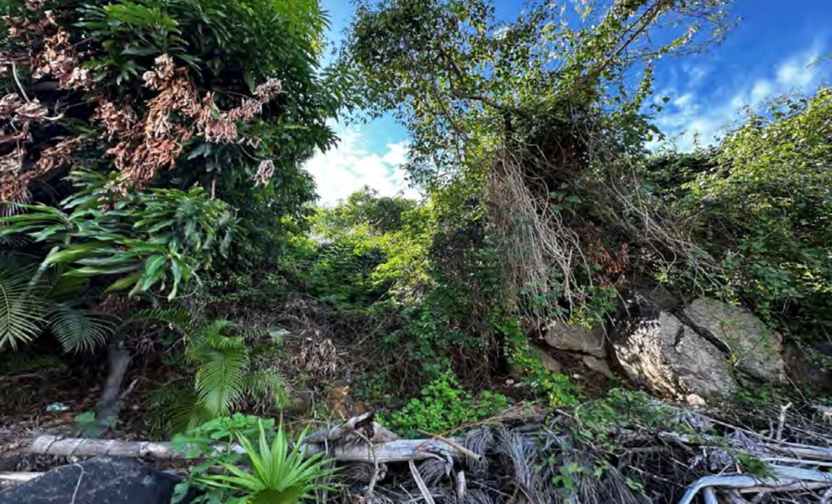 Terreno en venta en Las Brisas 2, Acapulco de Juárez — foto 1 de 2