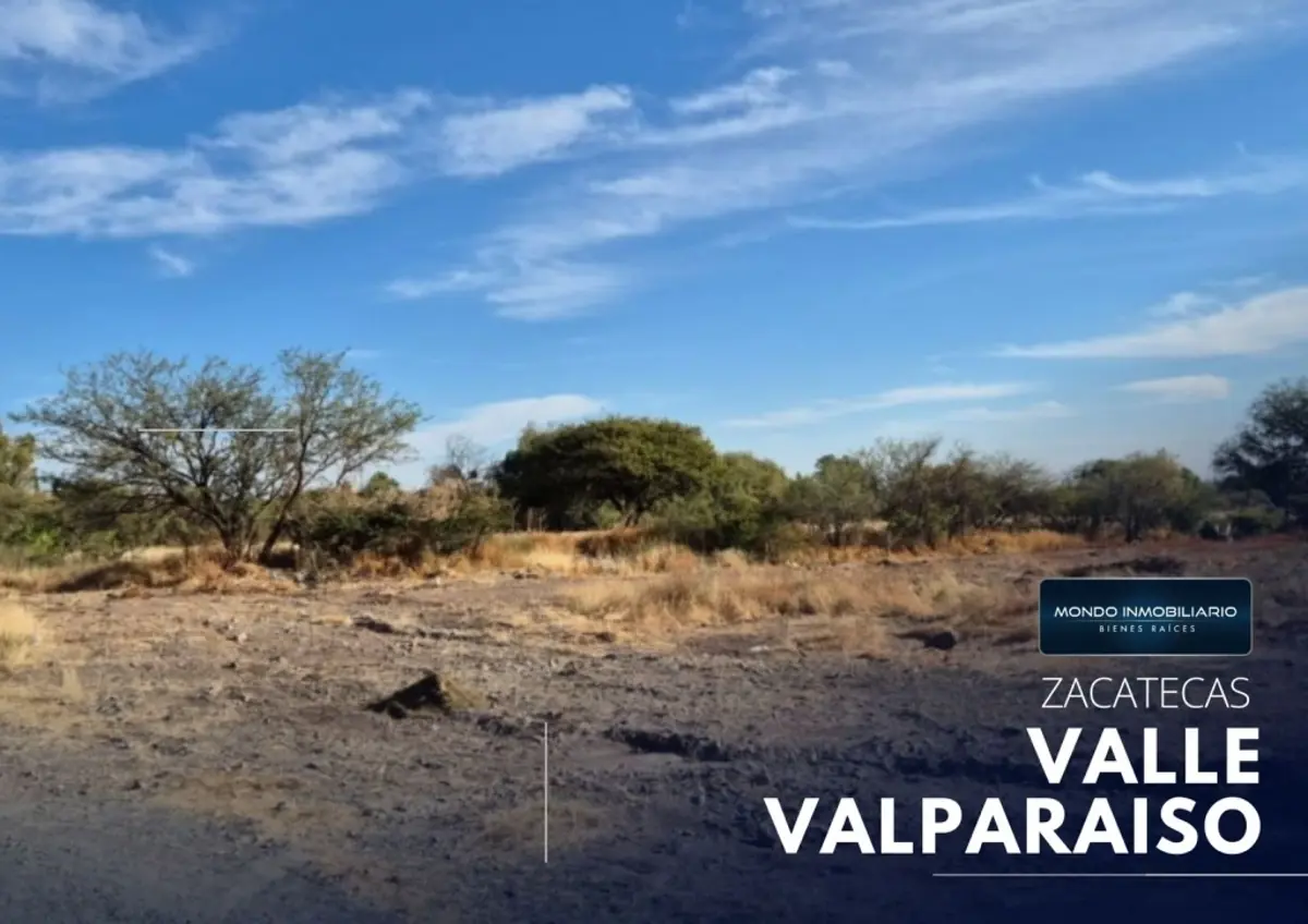 Terreno en venta en Ejidal, Guadalupe
