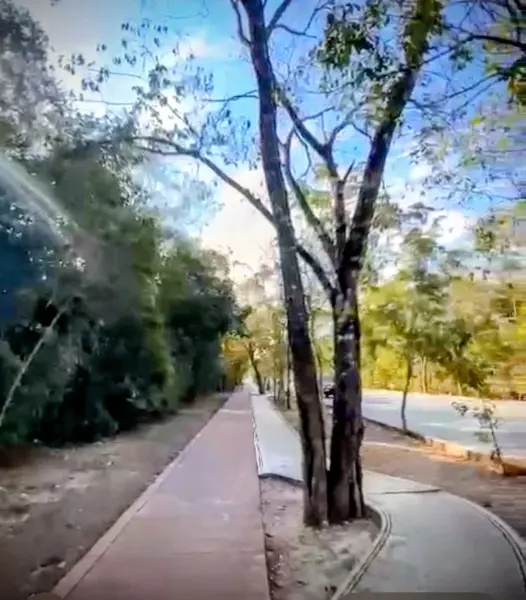 Terreno en venta en Solidaridad, Playa del Carmen — foto 2 de 6