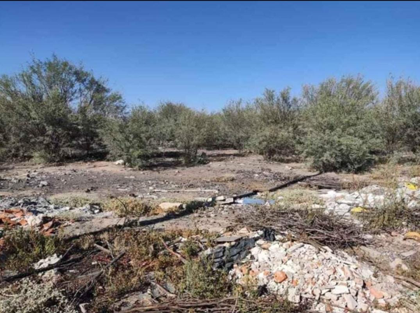 Terreno en venta en Ejido San Miguel, Matamoros — foto 2 de 4