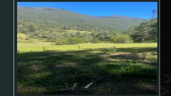 Terreno en venta en Arteaga Centro, Arteaga — foto 2 de 5