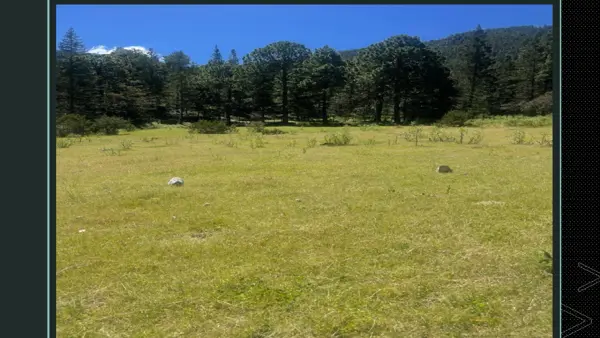 Lotes Campestres, El Tarillal, Arteaga, Coah.