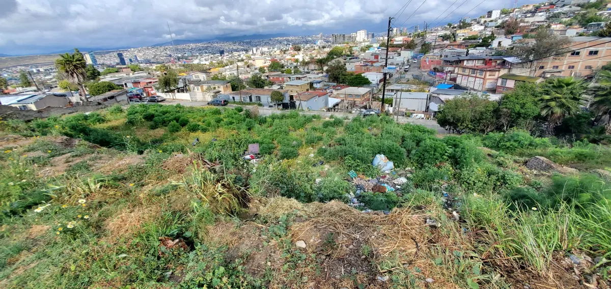 SE VENDEN 3 TERRENOS CENTRICOS EN TIJUANA, AMPLIOS 350 MT2 CADA UNO (10 X 35 MTS) 1,050 MT2 EN TOTA SE VENDEN 3 TERRENOS CENTRICOS EN TIJUANA, AMPLIOS 350 MT2 CADA UNO (10 X 35 MTS) 1,050 MT2 EN TOTA