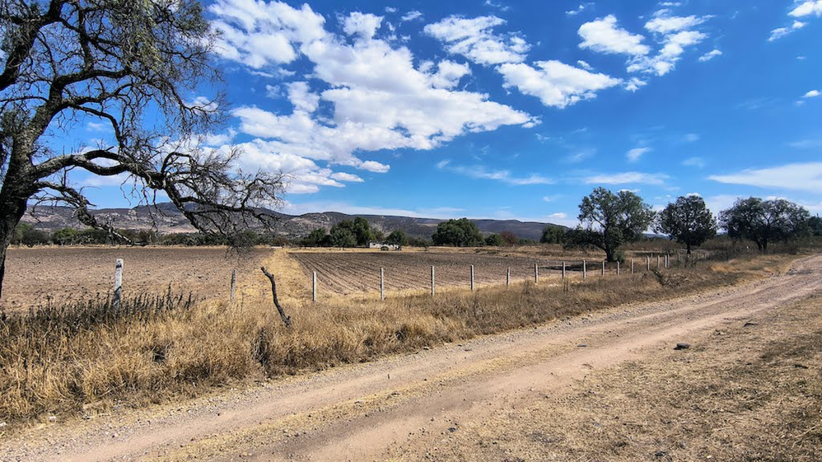 Terreno en venta en San Diego de las Trasquilas, San José de Iturbide — foto 1 de 12