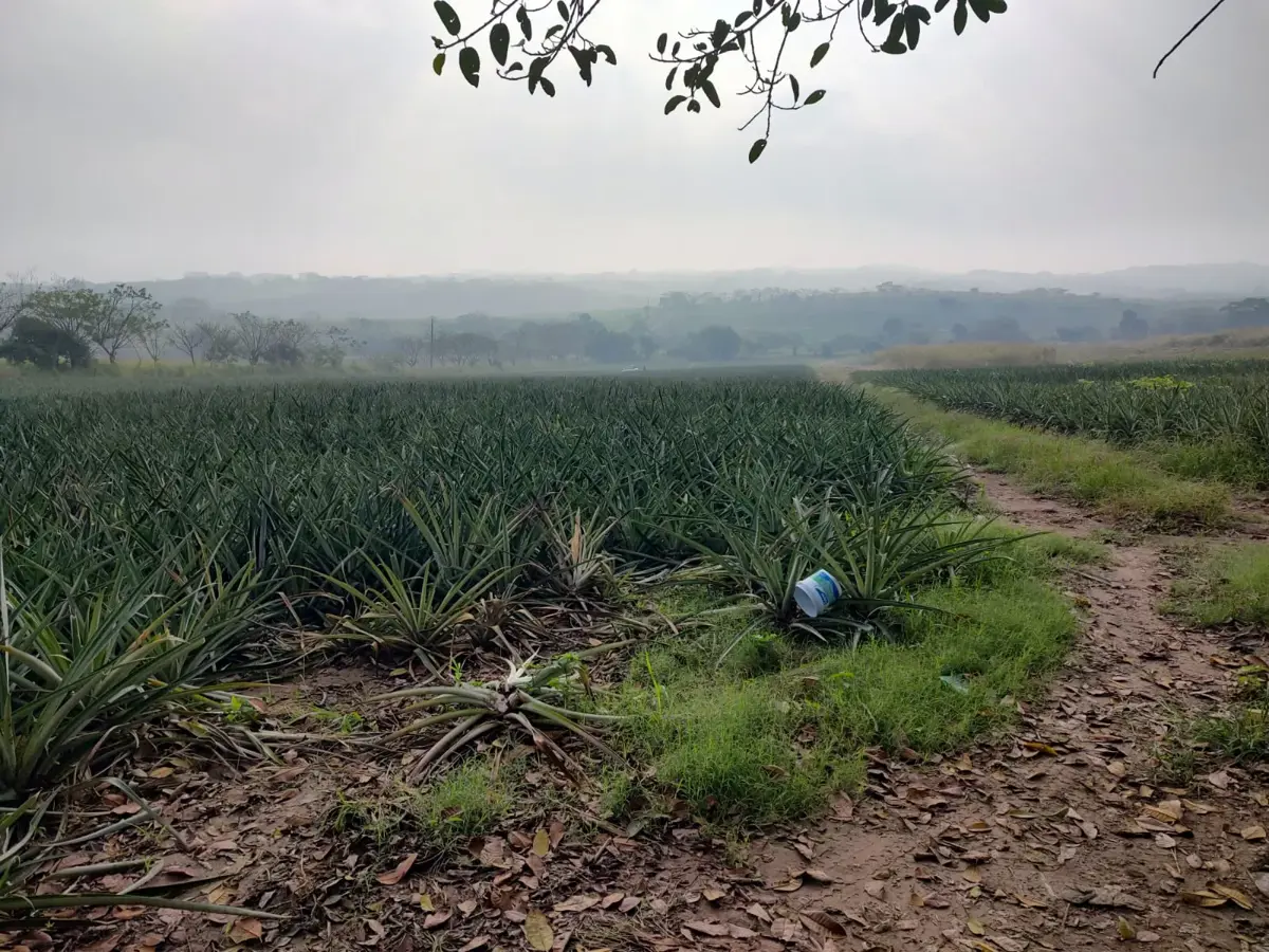 Terreno en venta en La Laguna y Monte del Castillo, Medellín de Bravo — foto 1 de 3