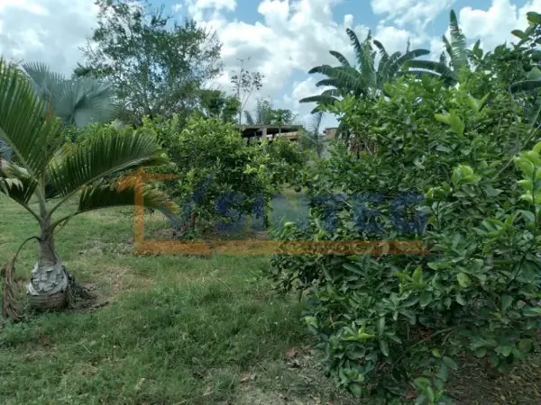 Terreno en venta en Xanath 2, Papantla — foto 3 de 26