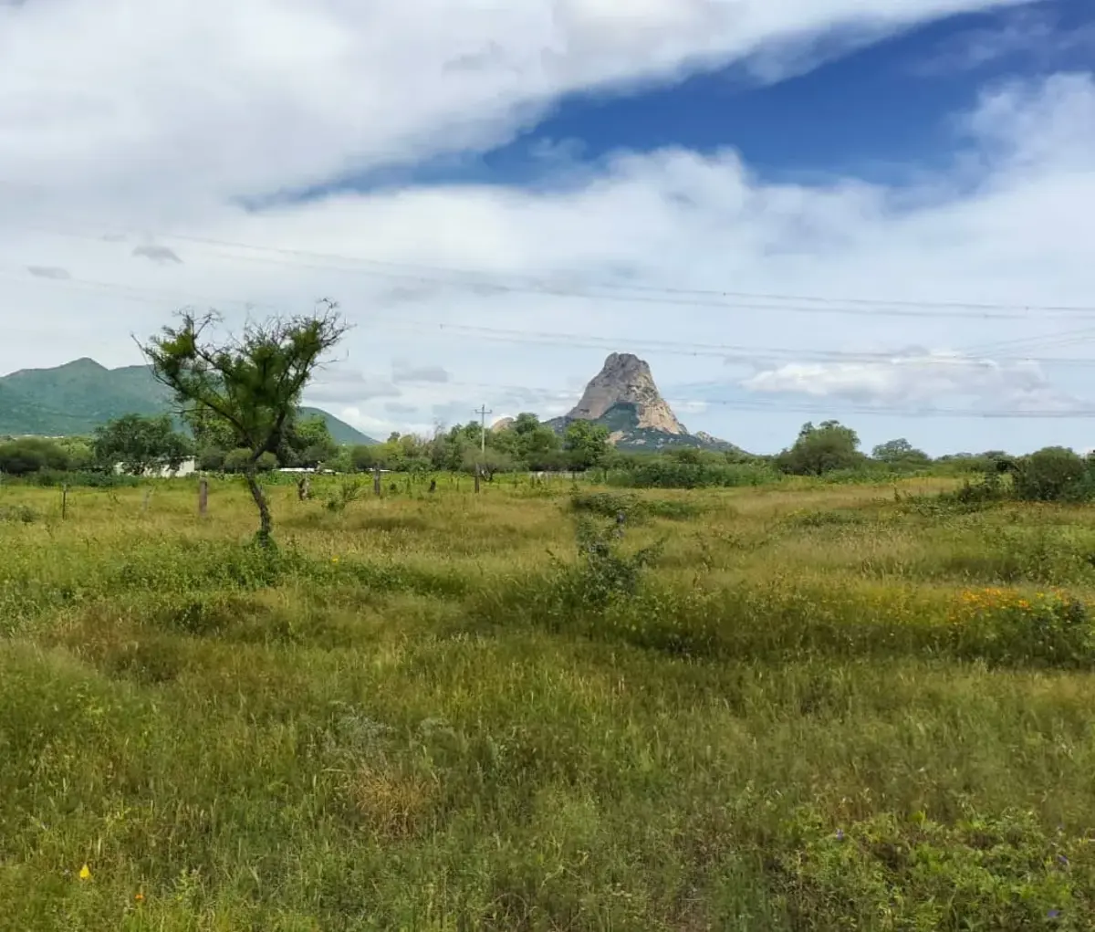 Terreno en venta en Bernal, Ezequiel Montes — foto 1 de 4