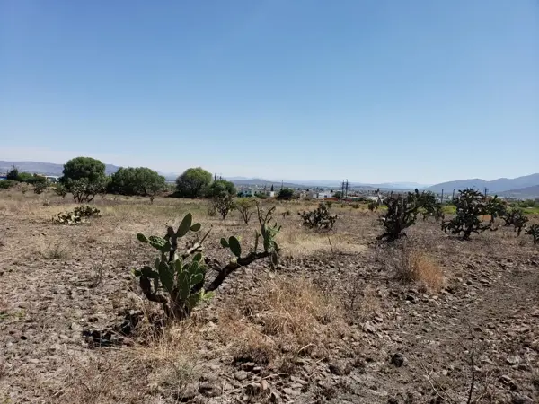 VENTA DE TERRENO CERCA DE PARQUE INDUSTRIAL EN SAN JUAN DEL RÍO, QRO. VT54 VENTA DE TERRENO CERCA DE PARQUE INDUSTRIAL EN SAN JUAN DEL RÍO, QRO. VT54