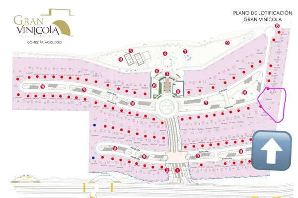 Terreno en venta en La Gran Vinícola, Gómez Palacio — foto 2 de 19