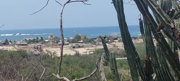 Terreno en venta en San Agustín, Santa María Huatulco — foto 3 de 9