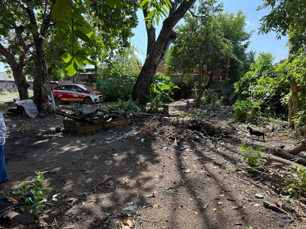 Terreno en venta en 2 Caminos, Veracruz — foto 3 de 3
