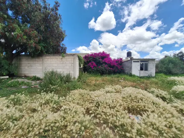 Terreno en renta en Pueblo Nuevo, Zapotlán de Juárez — foto 3 de 21