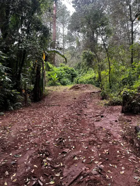 Terreno en venta en San Mateo Acatitlán, Valle de Bravo — foto 2 de 6