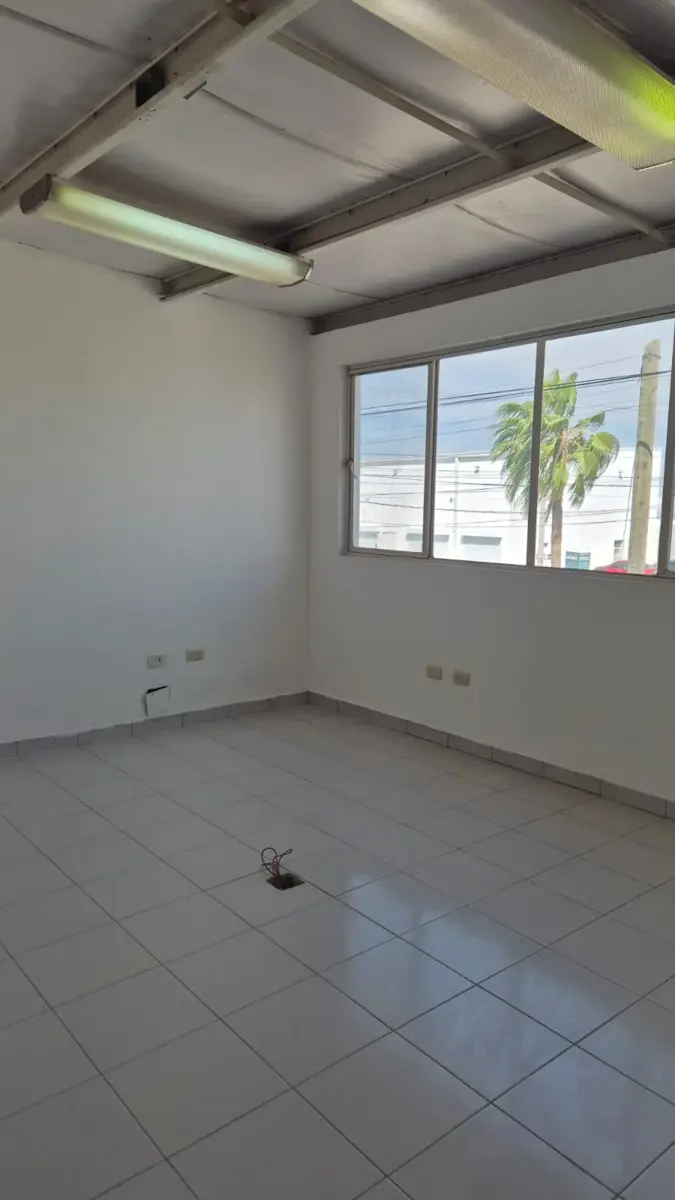 Vista 2 de Bodega en RENTA, Av Juarez en Torreón Coahuila