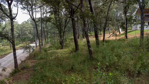 Terreno en venta en Tapalpa, Tapalpa — foto 2 de 22