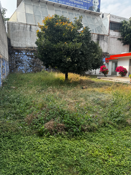 Casa en venta en Vista Hermosa, Cuernavaca — foto 2 de 16