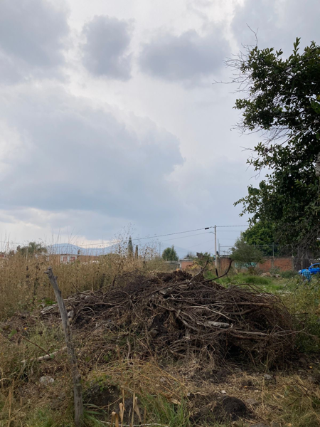 Terreno en venta en Cointzio, Morelia — foto 3 de 10