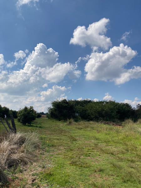 Terreno en venta en Umécuaro, Morelia — foto 3 de 12