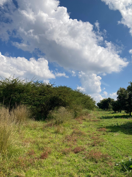 Terreno en venta en Umécuaro, Morelia — foto 2 de 12