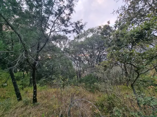 Terreno en venta en La Estanzuela, Mineral del Chico — foto 2 de 18