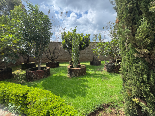 Quinta en venta en Prados Verdes, Quiroga — foto 3 de 26