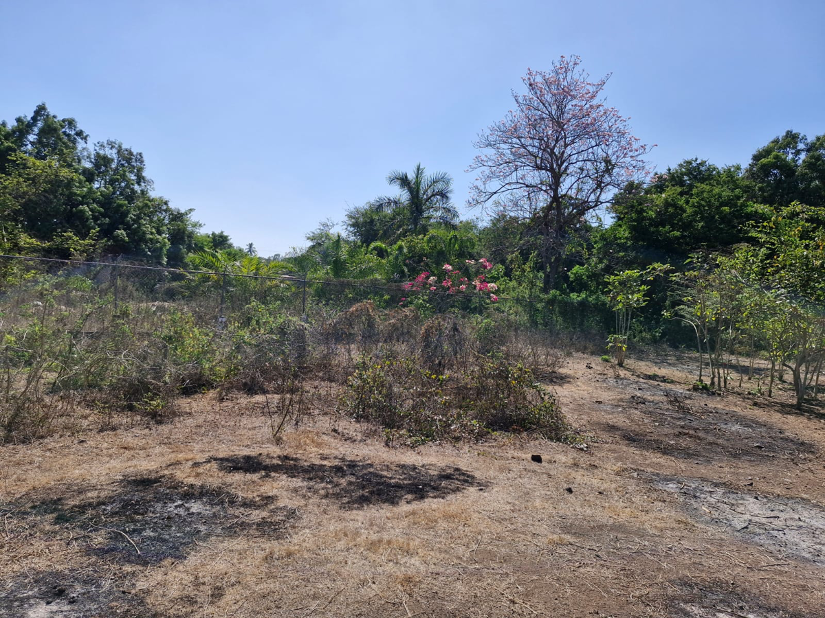 Terreno en renta en Arboledas, Lázaro Cárdenas — foto 1 de 6