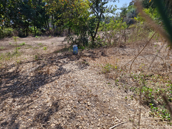 Terreno en renta en Arboledas, Lázaro Cárdenas — foto 2 de 6
