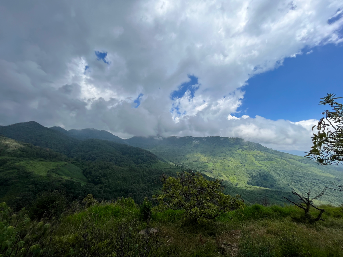 Terreno en venta en Los Timones, Tzitzio — foto 1 de 13