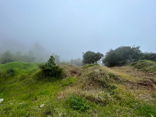 Terreno en venta en Los Timones, Tzitzio — foto 2 de 13