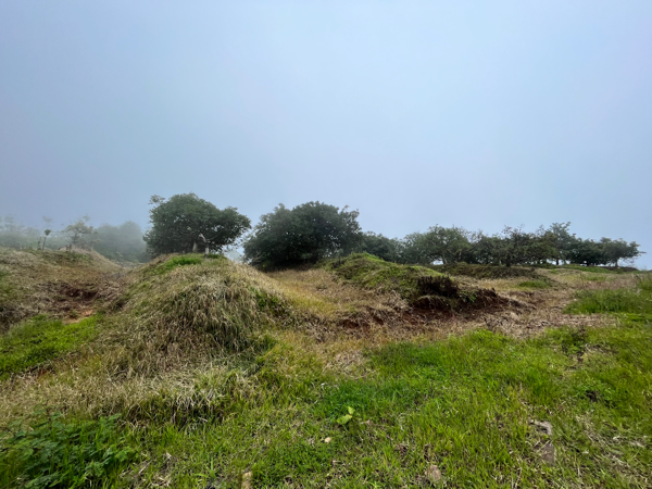 Terreno en venta en Los Timones, Tzitzio — foto 3 de 13