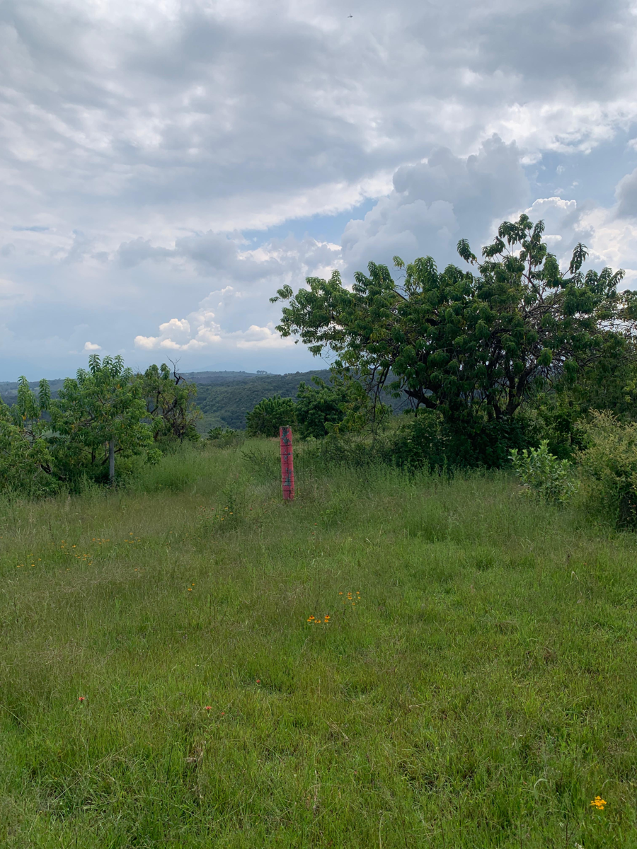 Terreno en venta en Los Espinos, Jiménez — foto 1 de 8