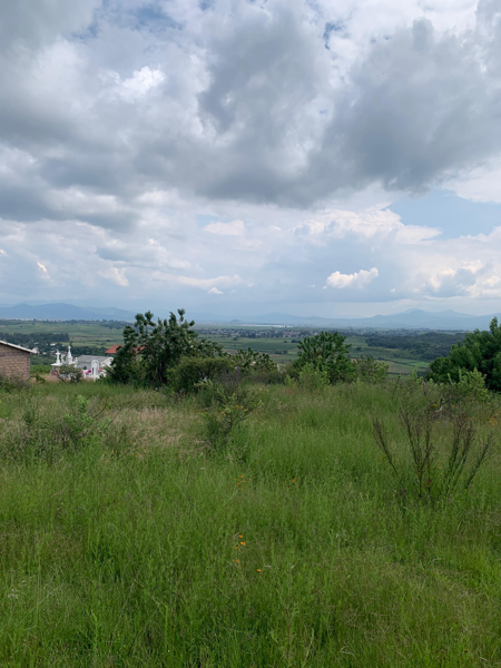 Terreno en venta en Los Espinos, Jiménez — foto 3 de 8