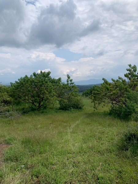 Terreno en venta en Los Espinos, Jiménez — foto 2 de 8